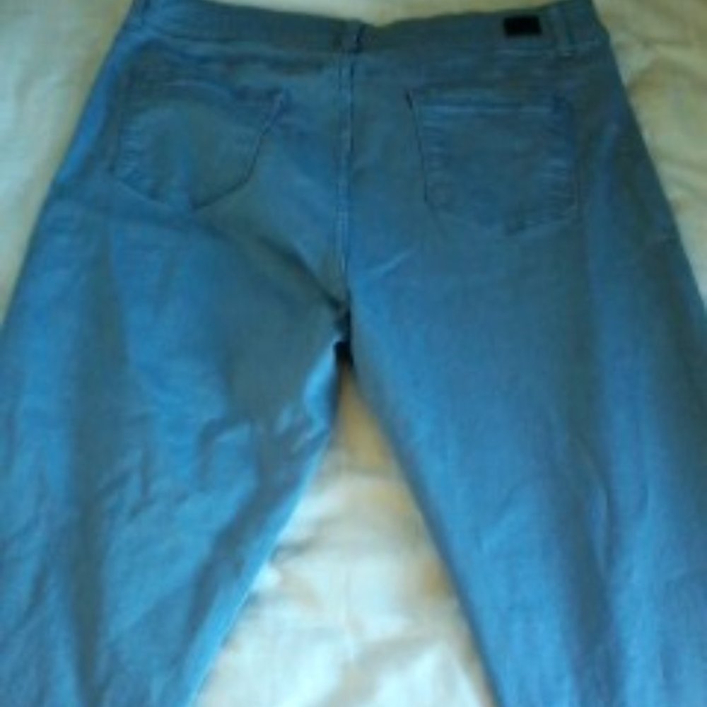 Jones New York Periwinkle Blue Jeans (size 16)